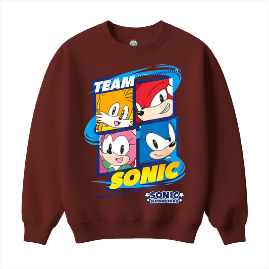 Sonic Team Premium Sweatshirt